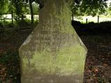 image of grave number 196093